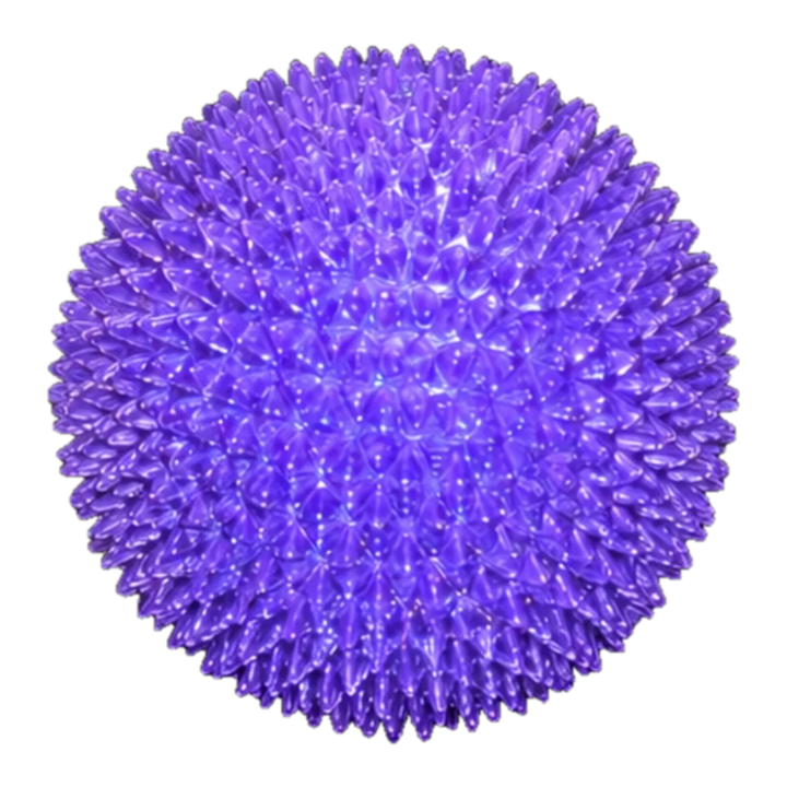 Spiky ball
